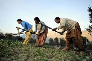 Agricultural Development should Eradicate Poverty