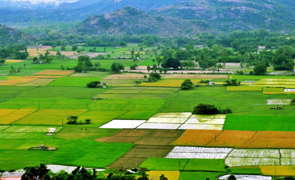Green Beds Farmlands in India