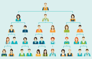 Organizational Process