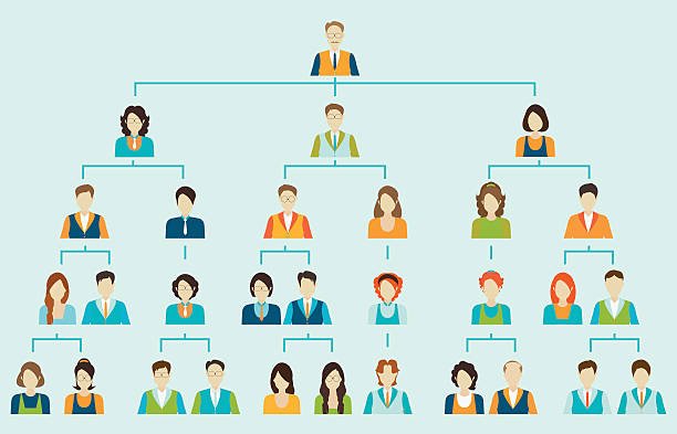 Line Organisation